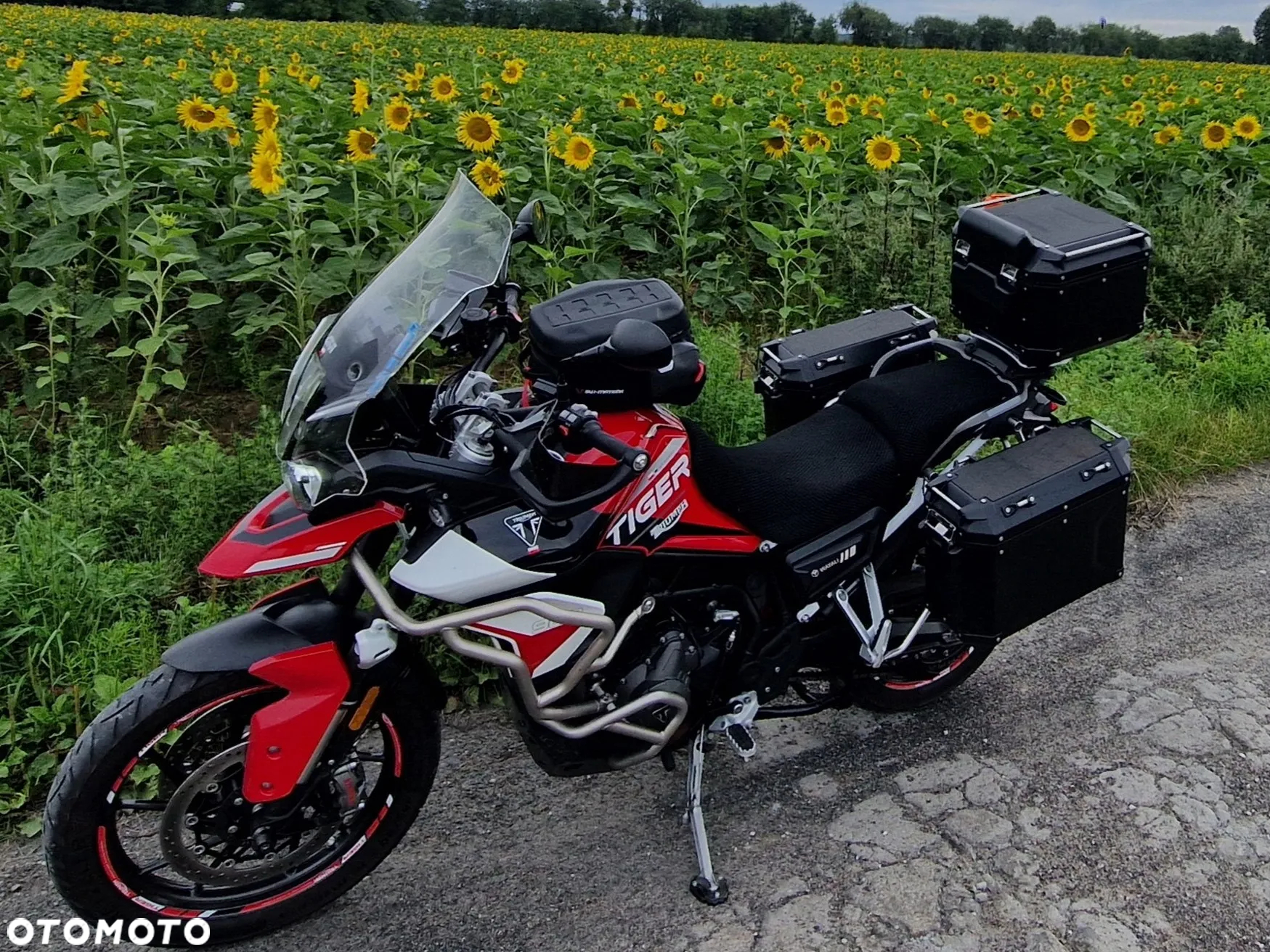 Triumph Tiger - 4