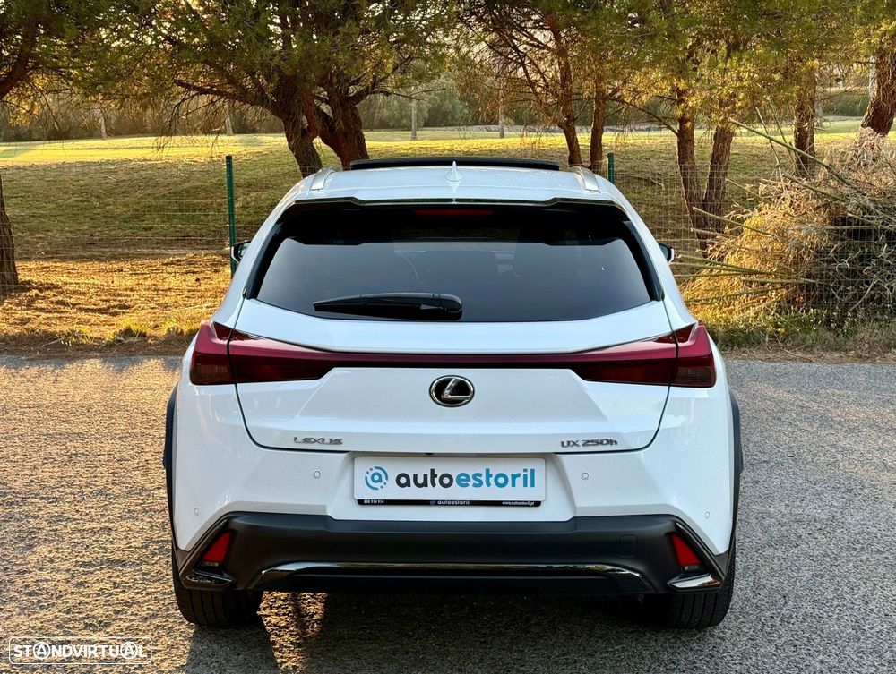 Lexus UX 250h F Sport - 13