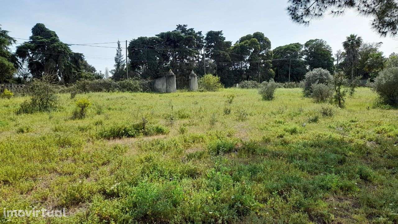 Setúbal/Padeiras Quinta 5000m2 para moradia. - Grande imagem: 4/20
