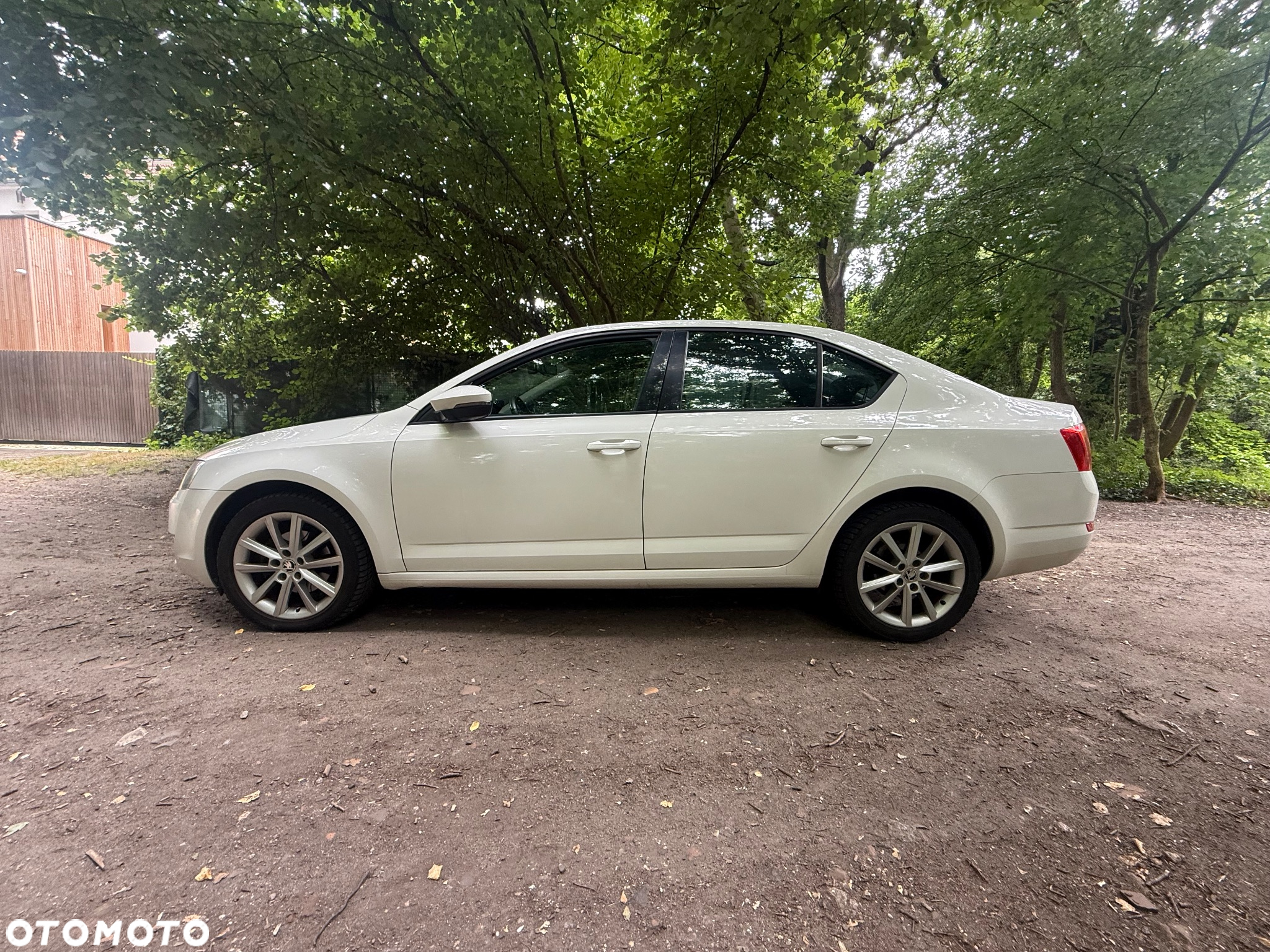 Skoda Octavia 2.0 TDI Elegance - 7