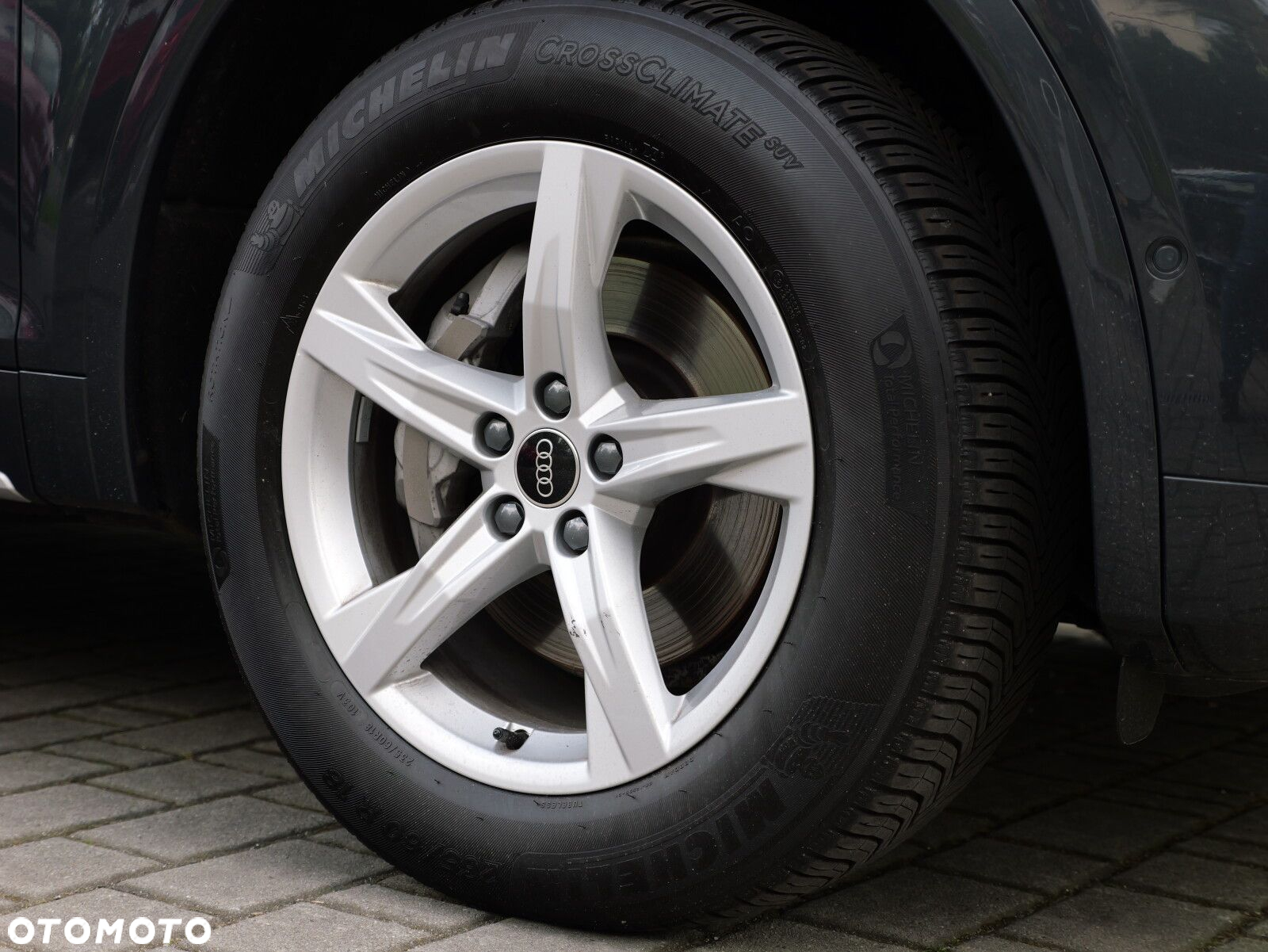 Audi Q5 - 17