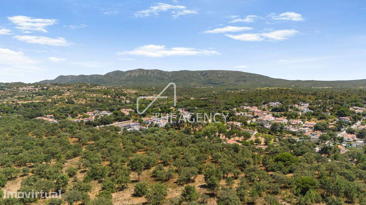 11,3 Hectares de Montado de Sobro | PIP Submetido | Moradia de 455 m² - Grande imagem: 4/5