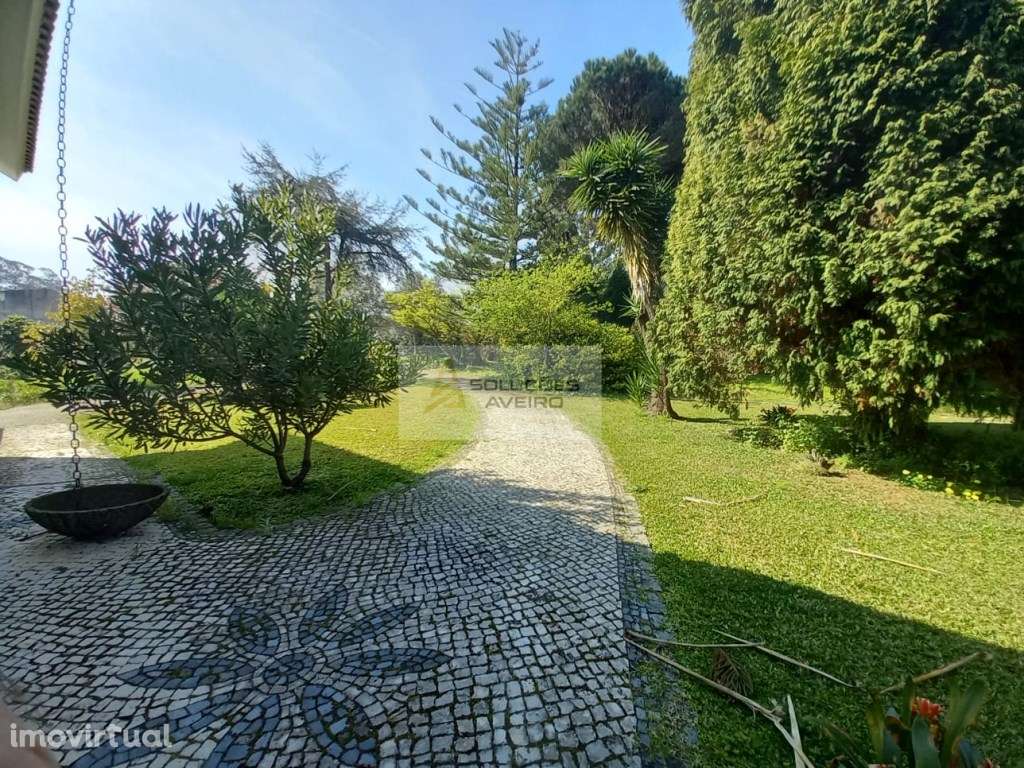 QUINTA EXCECIONAL COM 34.000 m² NO DISTRITO DE AVEIRO UM ATIVO ÚNIC... - Grande imagem: 4/60