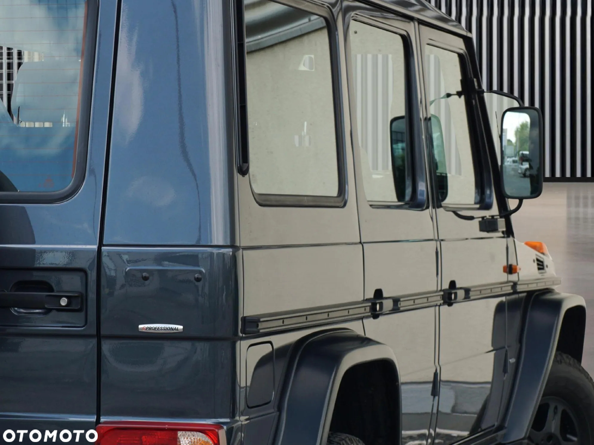 Mercedes-Benz Klasa G 350 d Professional - 10