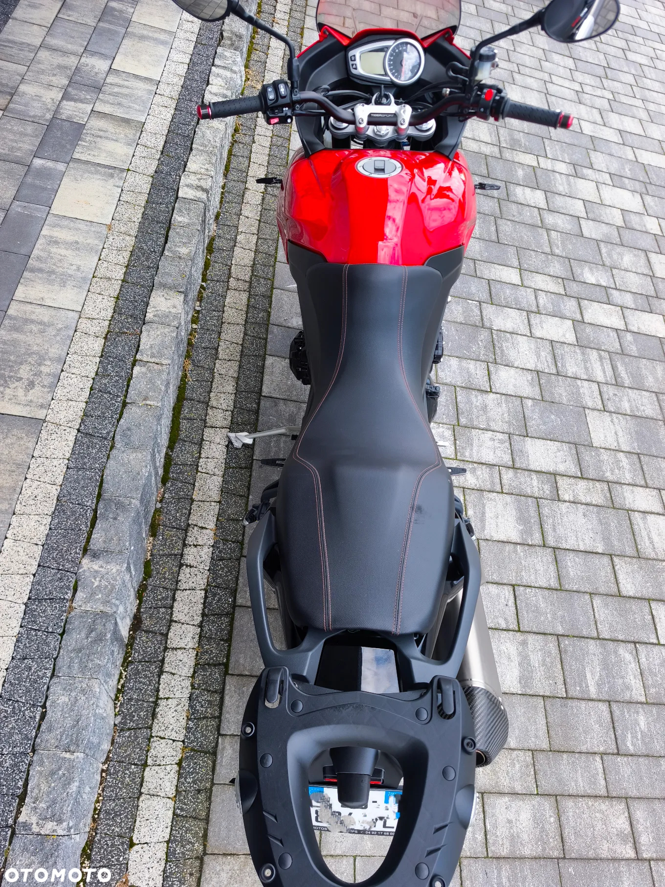 Triumph Tiger - 12