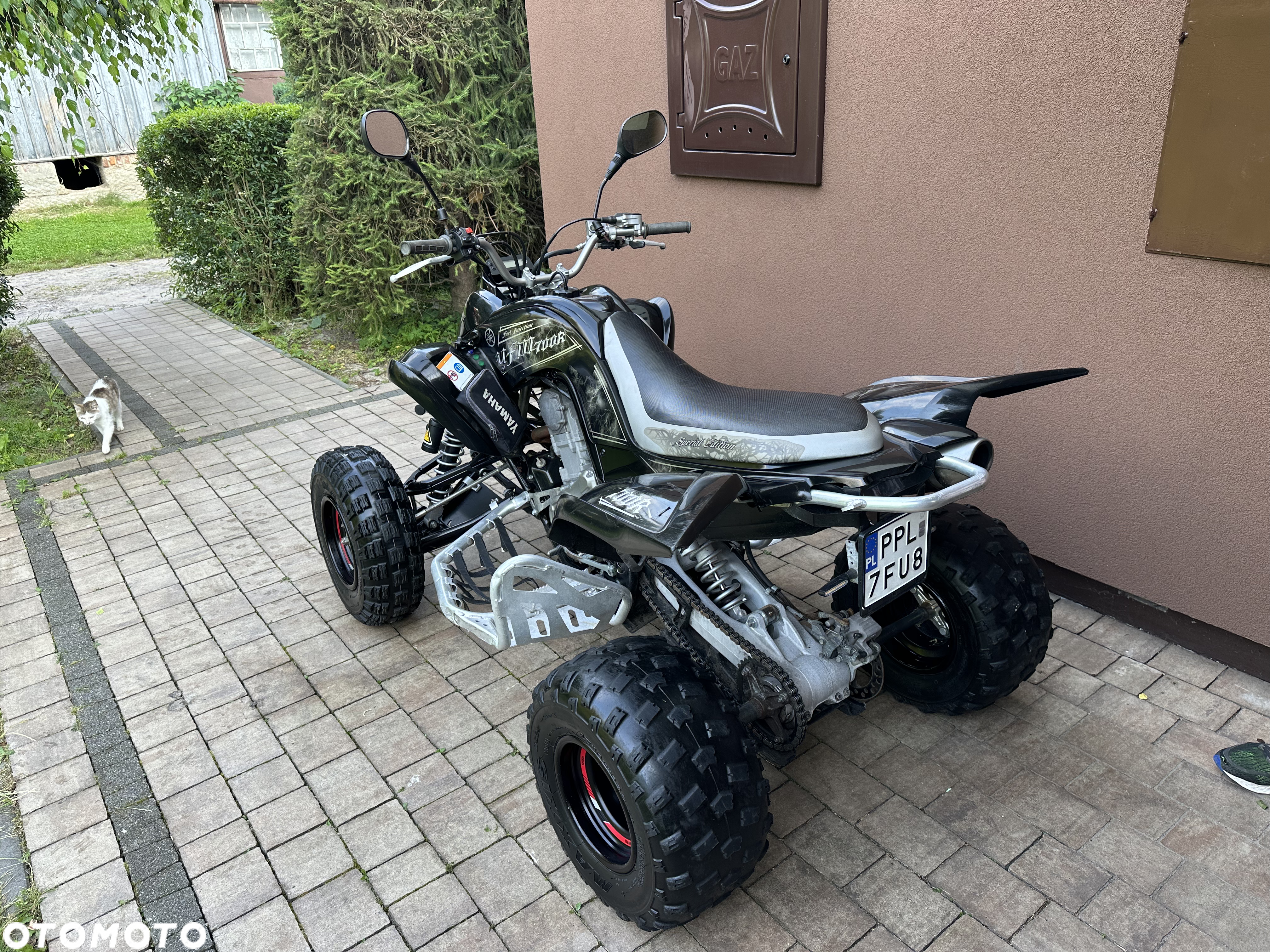 Yamaha Raptor - 15