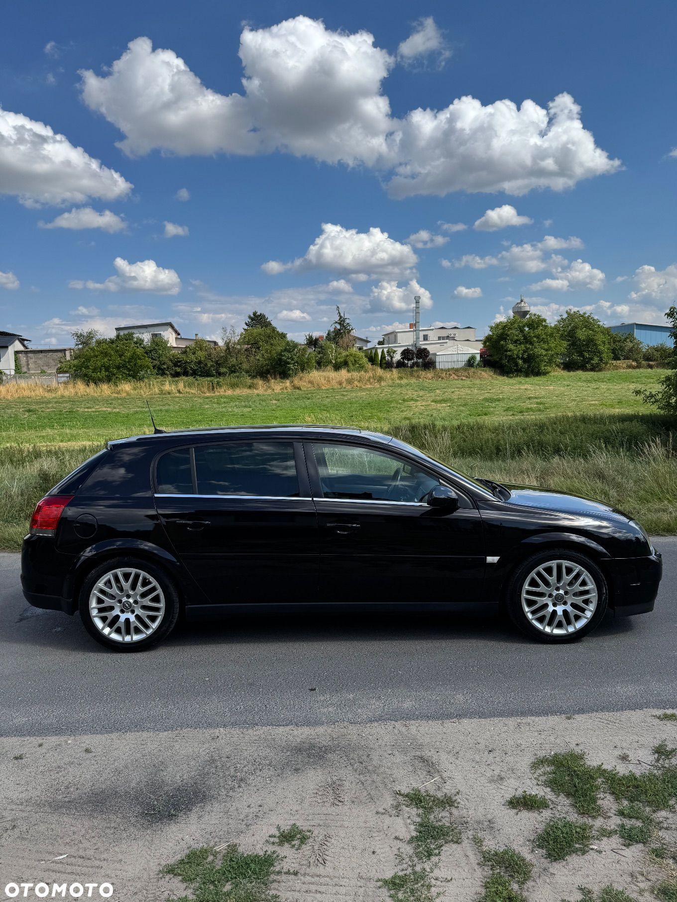 Opel Signum 1.9 CDTI Sport - 6