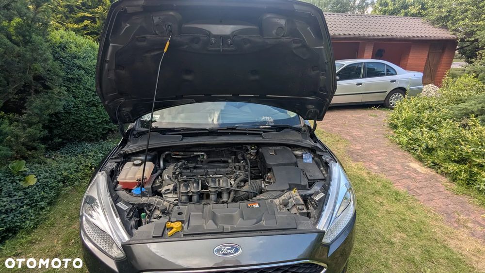 Ford Focus 1.6 Trend - 7