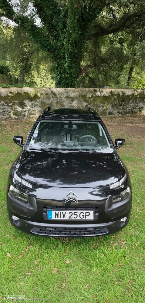 Citroën C4 Cactus - 11