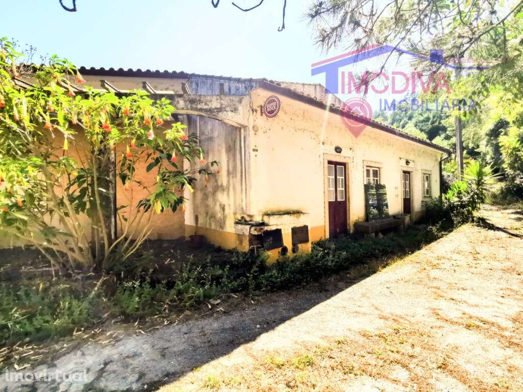 Restaurante com esplanada e vista para a ribeira em Ribeira de Alge - Grande imagem: 3/43