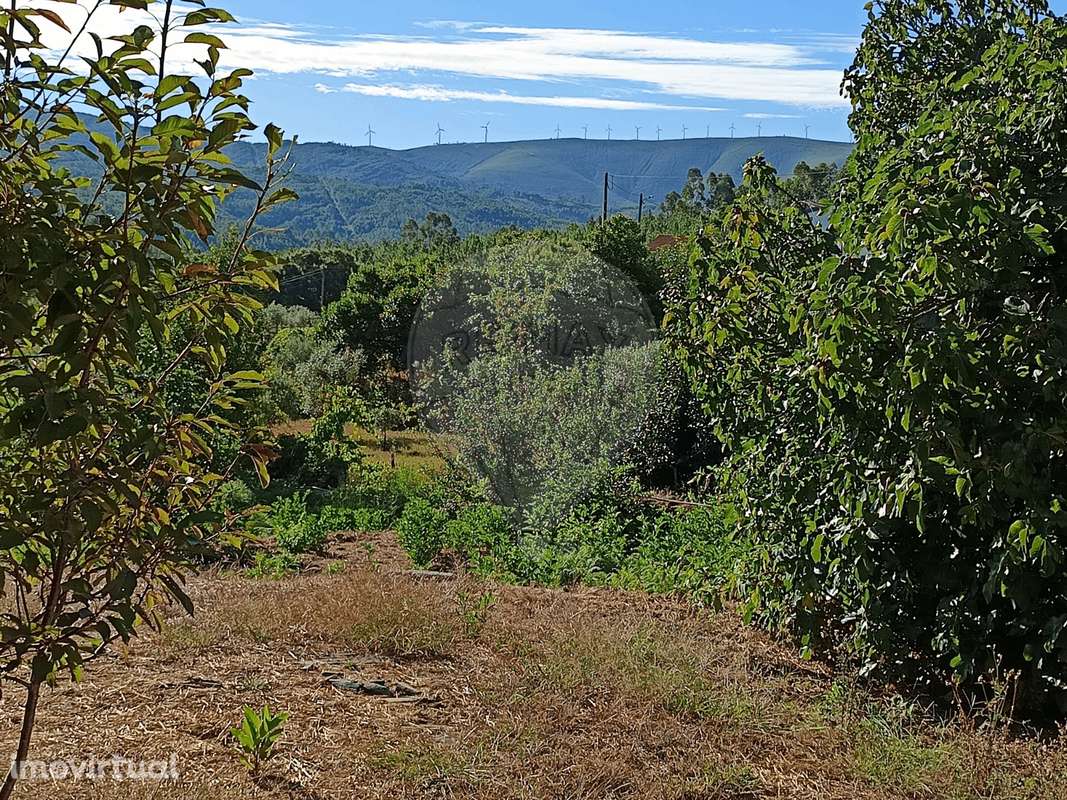 Terreno  para venda - Grande imagem: 2/14