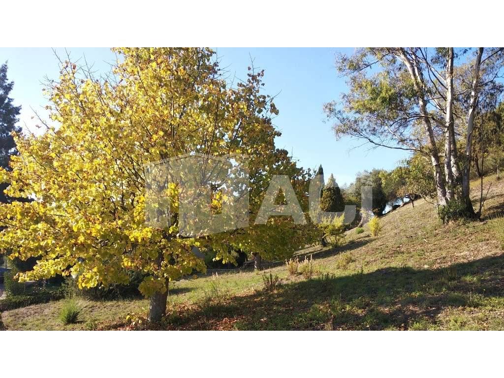 TERRENO MORADIA - Fontes, Leiria - Grande imagem: 5/9