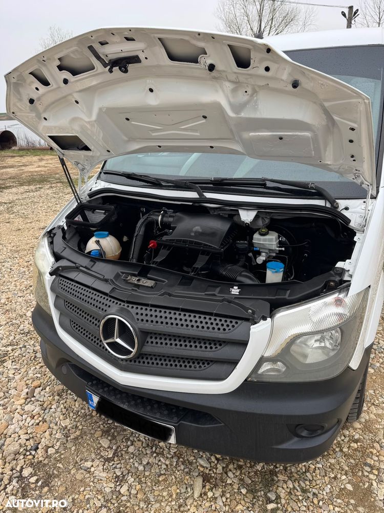 Mercedes-Benz Sprinter 316 Bluetec 9 Locuri - 23