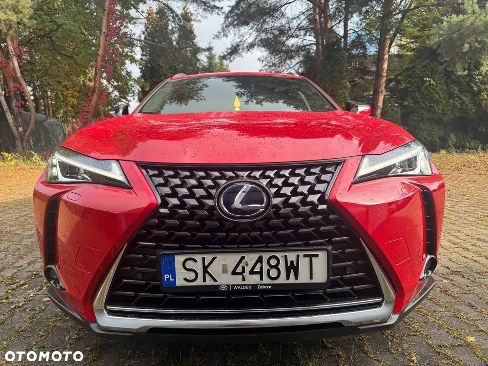 Lexus UX 250h GPF Business Edition 2WD - 1