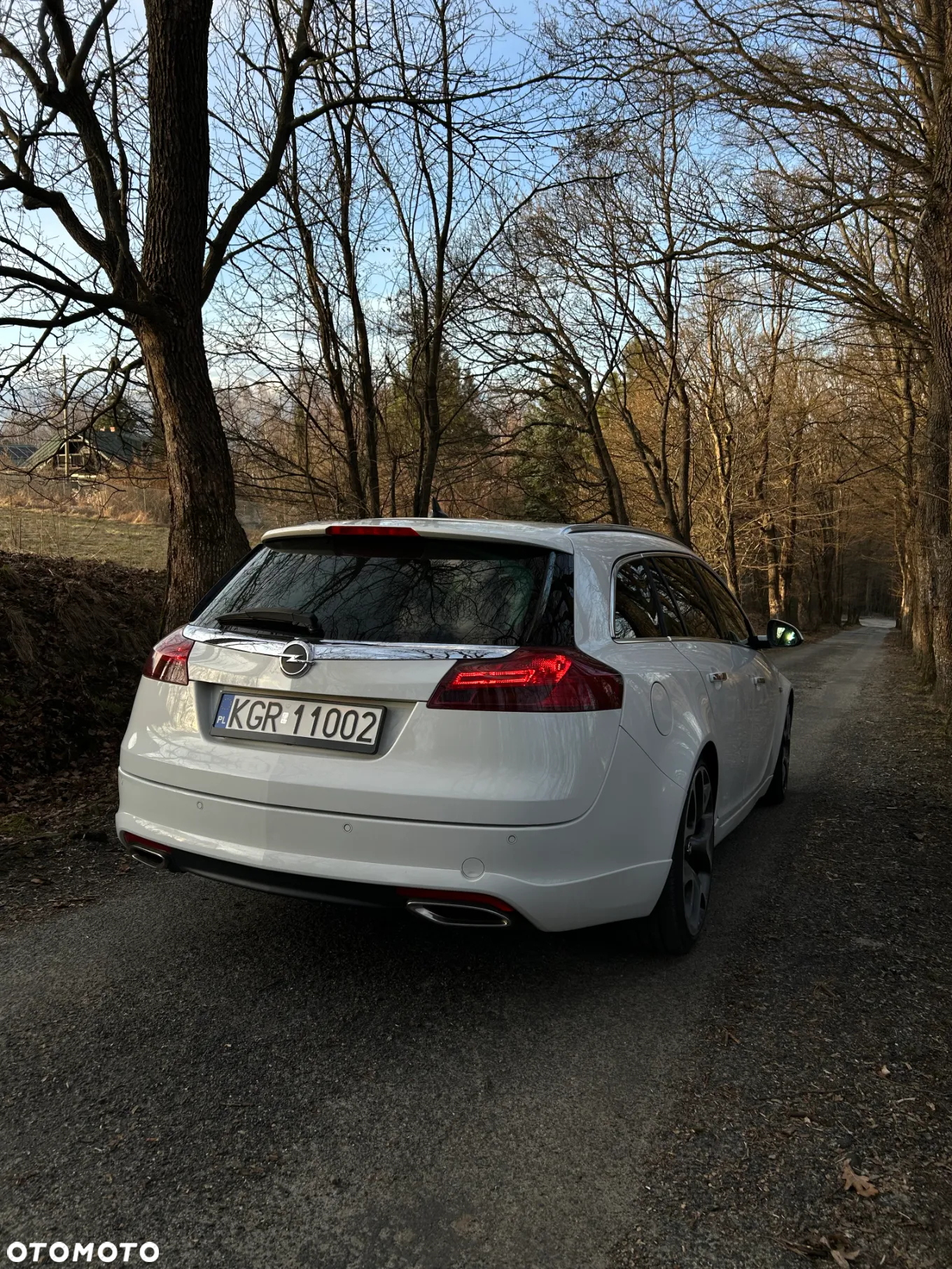 Opel Insignia 2.0 CDTI Sport - 7
