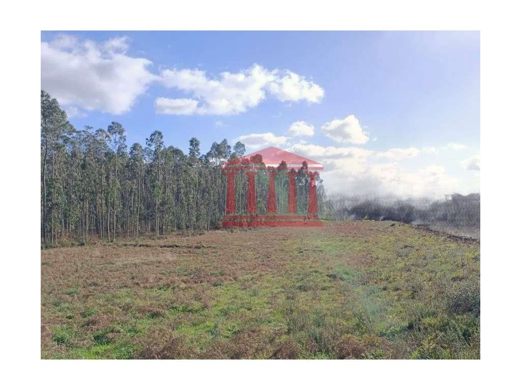 TERRENO PARA CONSTRUÇÃO PARA VENDA EM BARCELOS - Grande imagem: 5/7