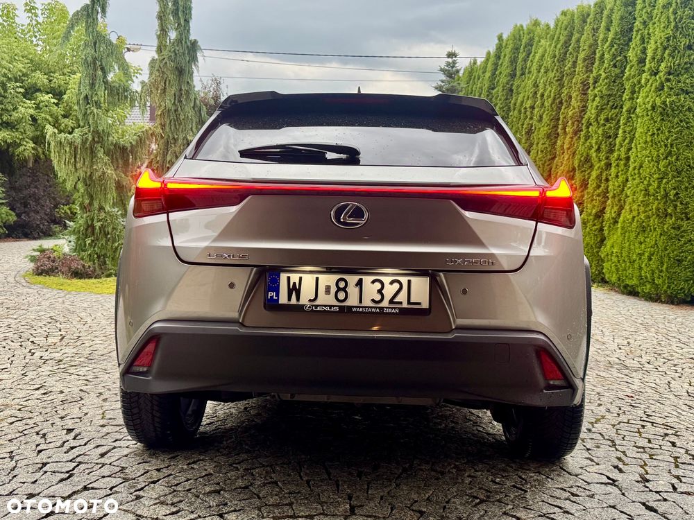 Lexus UX 250h F Sport 2WD - 37