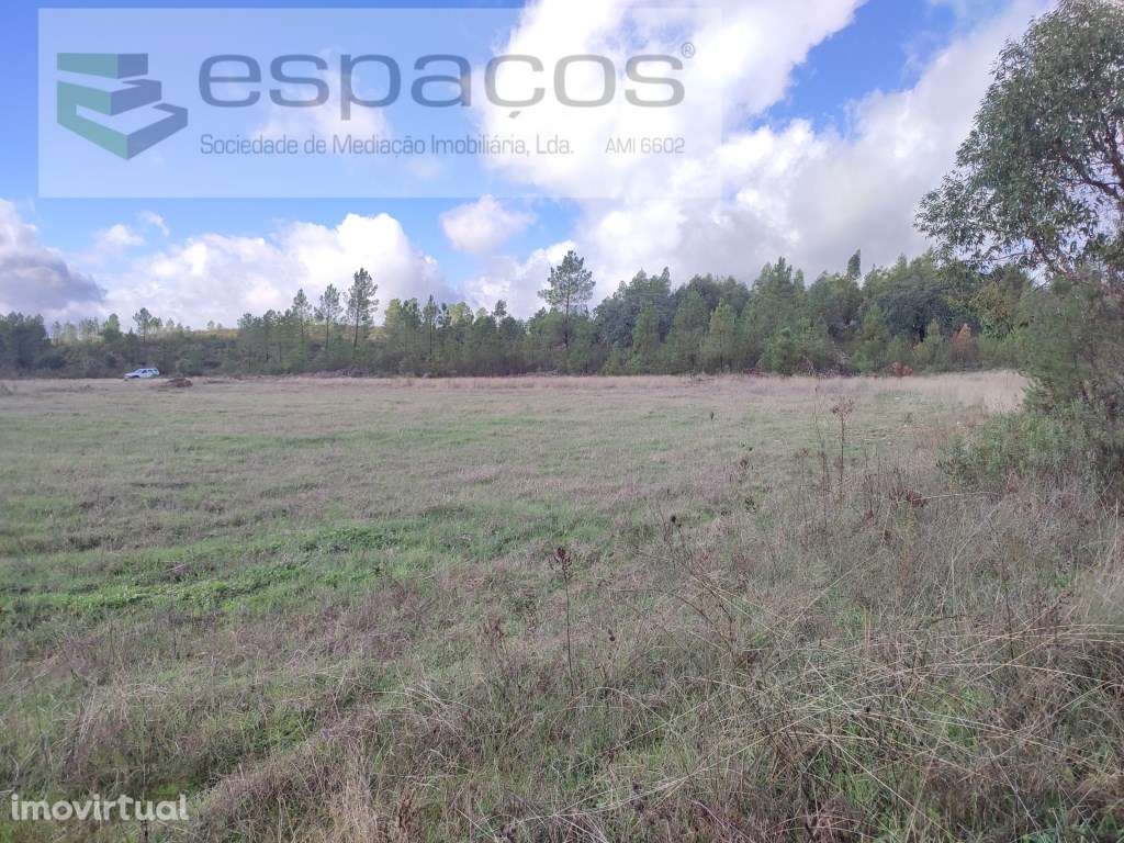 Terreno rústico a confinar com pequeno ribeiro - Sarzedas - Grande imagem: 4/17