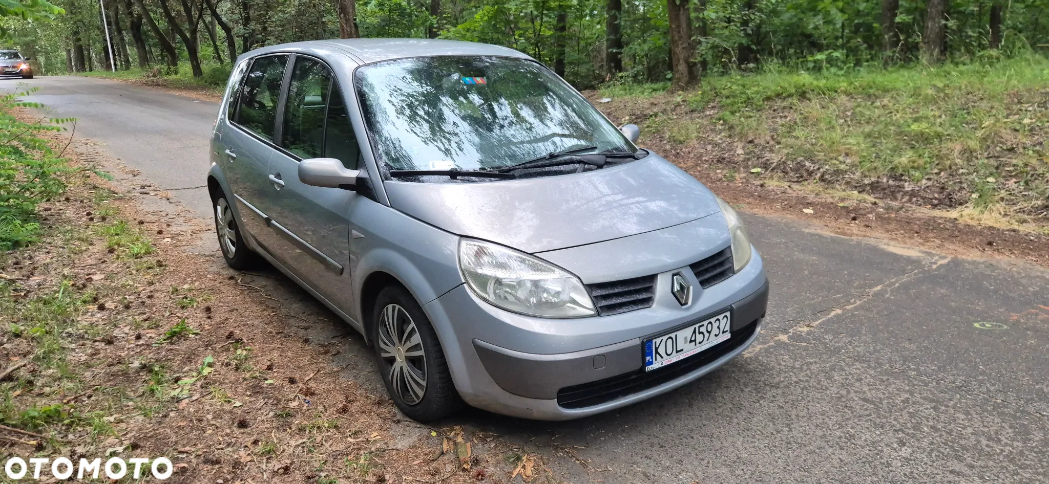 Renault Scenic - 6