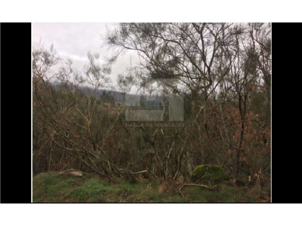 Terreno - Grande imagem: 2/2