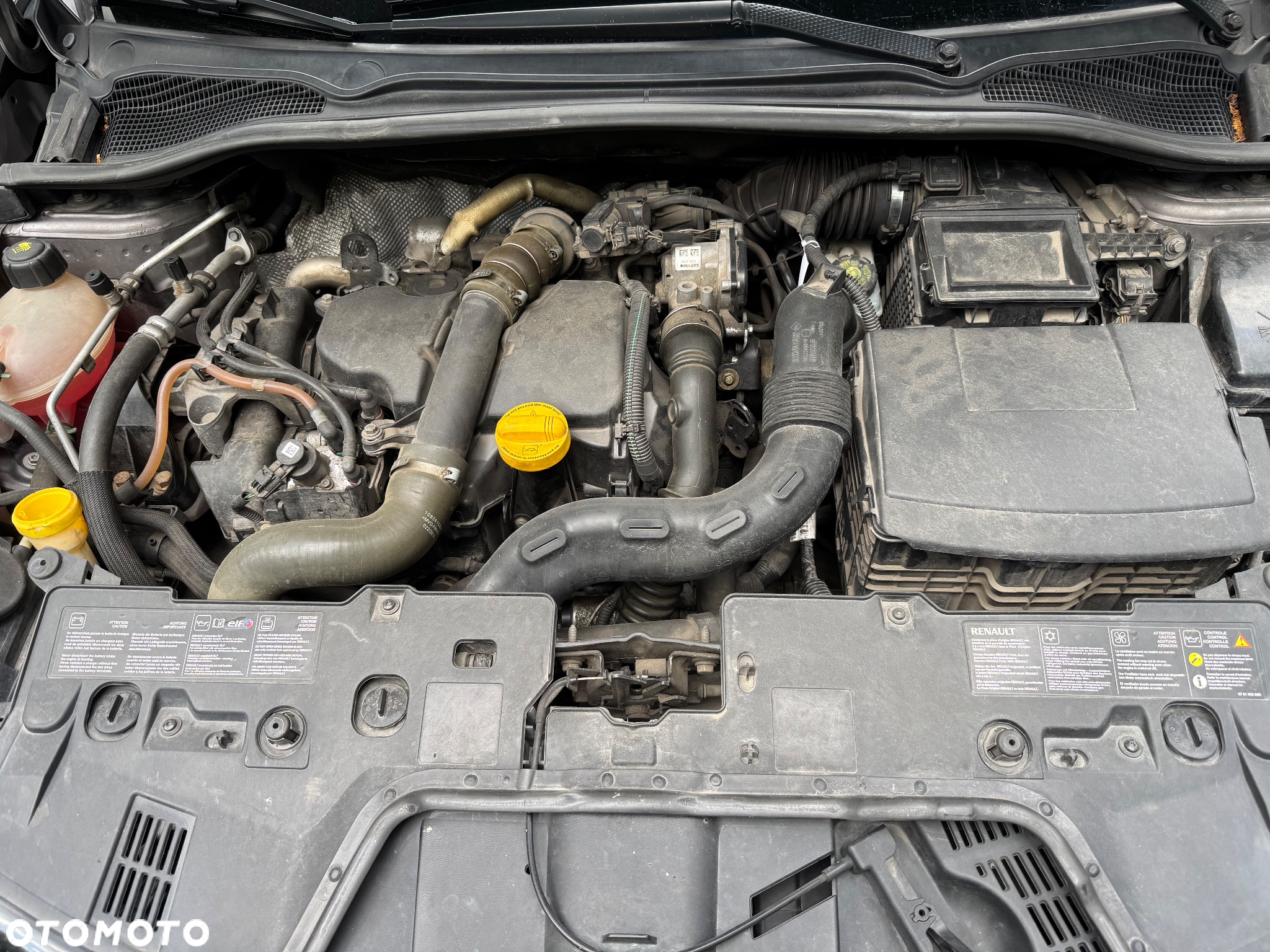 Renault Clio - 11