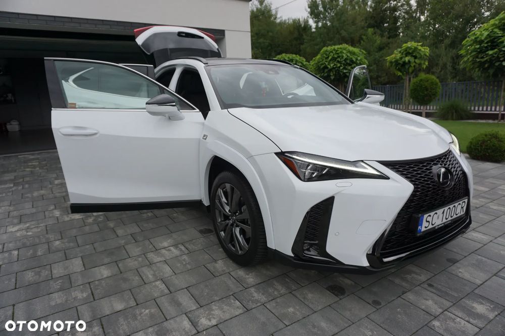 Lexus UX 250h GPF F Sport 2WD - 10