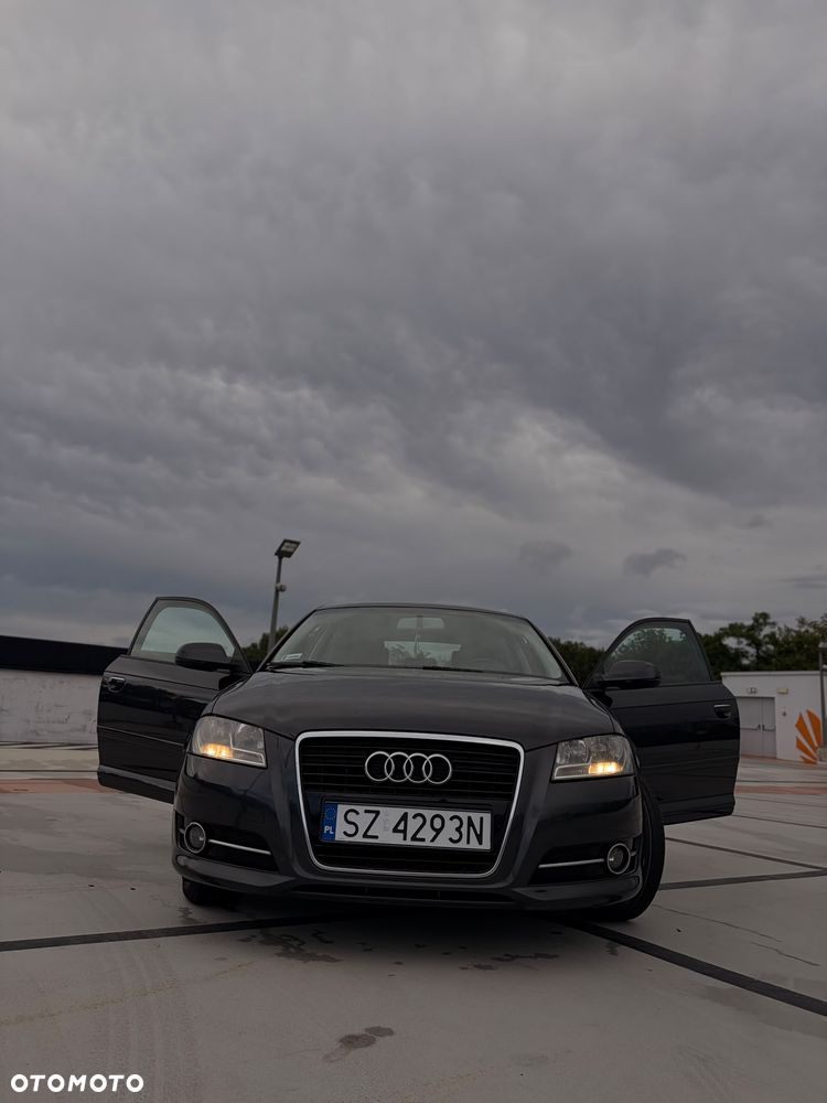 Audi A3 3-drzwiowe 1.6 TDI DPF Ambiente - 10