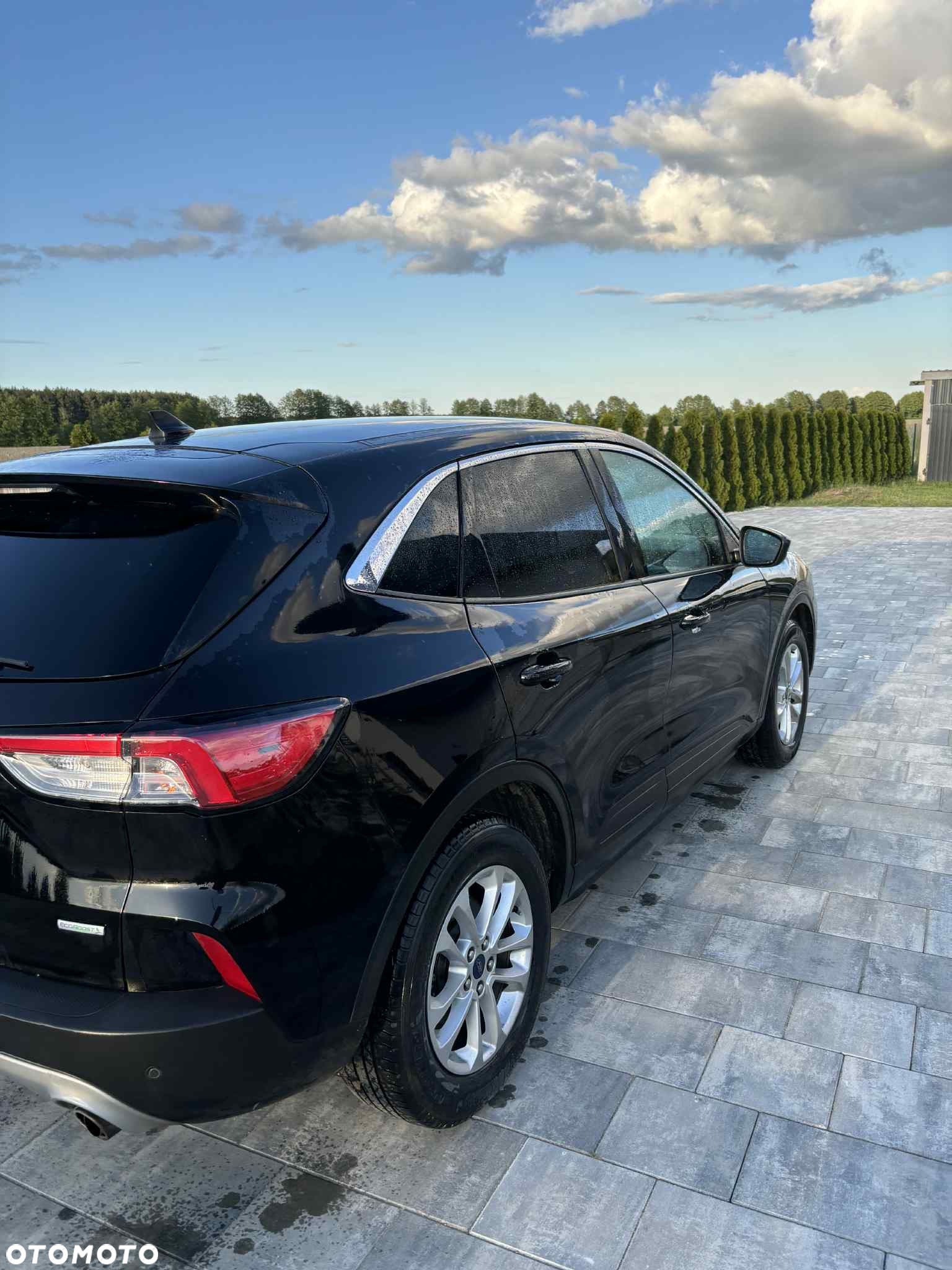 Ford Escape - 3