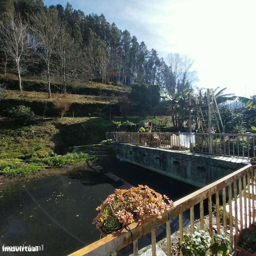 Quintinha com 1103m2 para recuperar - Grande imagem: 3/15