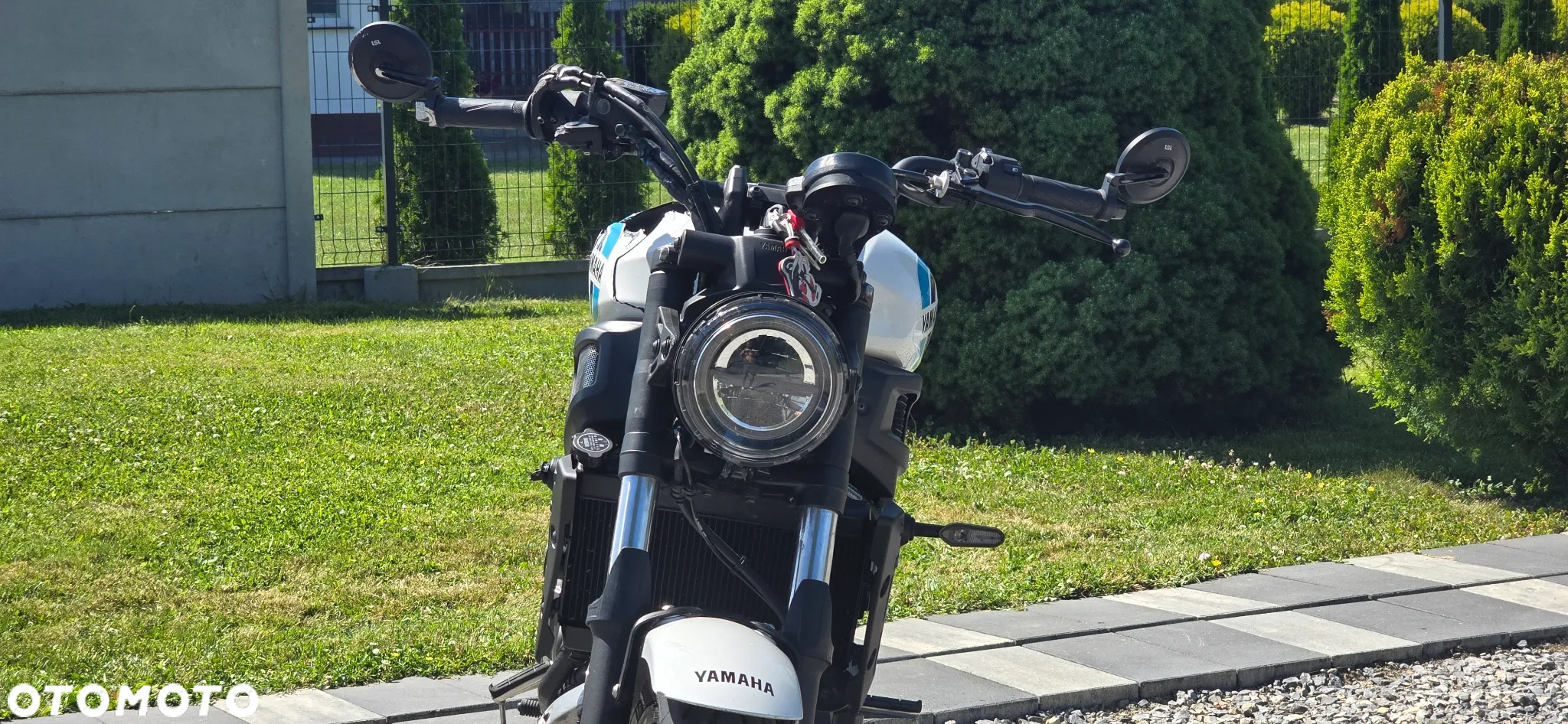 Yamaha XSR - 6