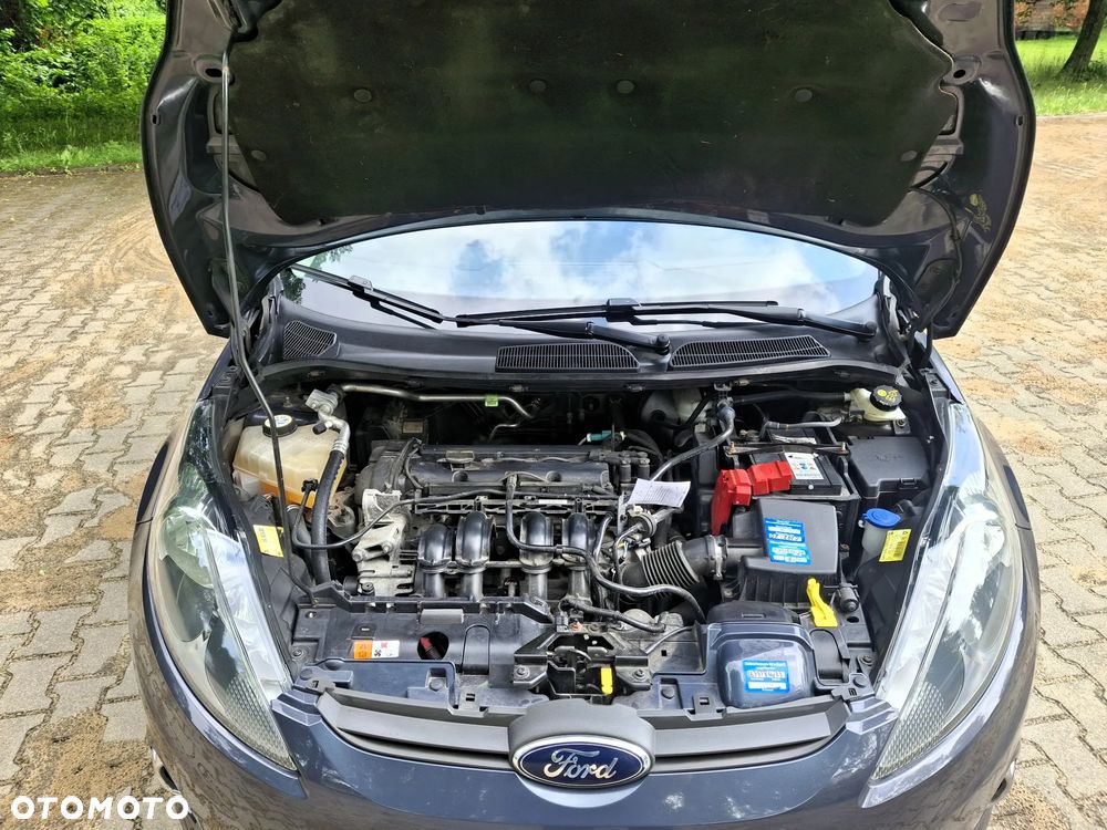 Ford Fiesta 1.25 Champions Edition - 25