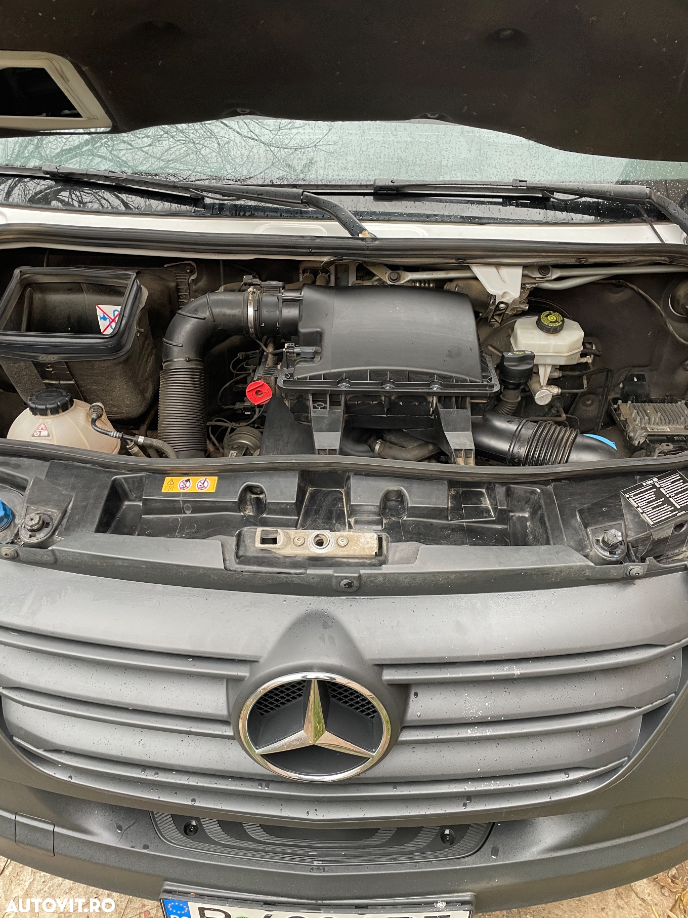 Mercedes-Benz Sprinter 516 Koffer - 12