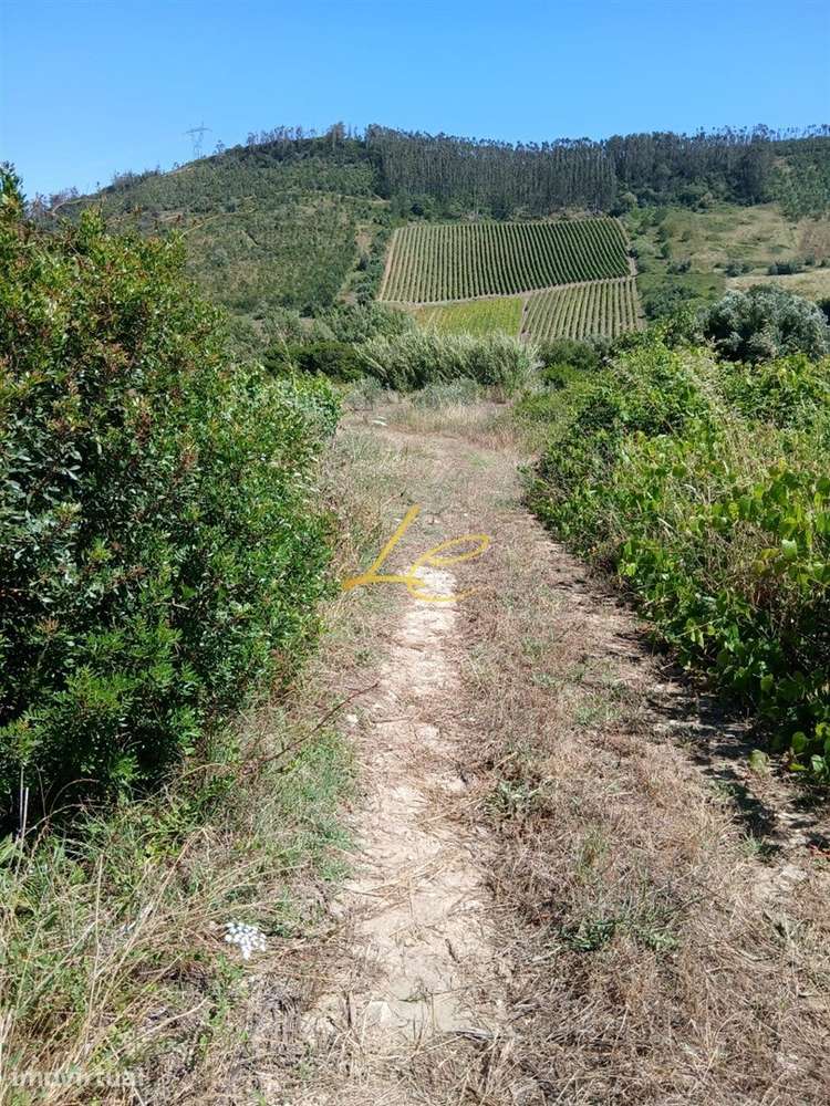 Terreno  Venda em Vila Verde dos Francos,Alenquer - Grande imagem: 2/6