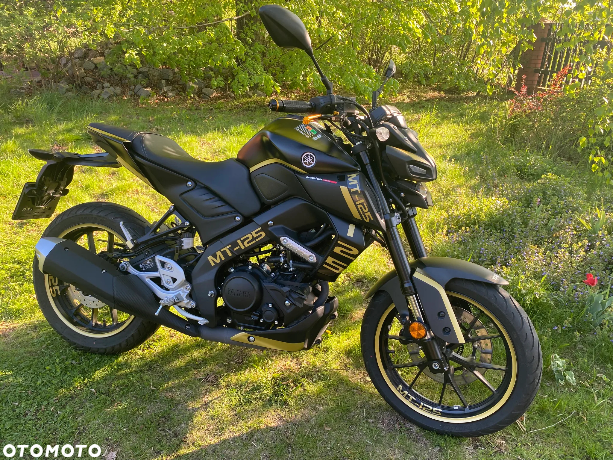 Yamaha MT - 2
