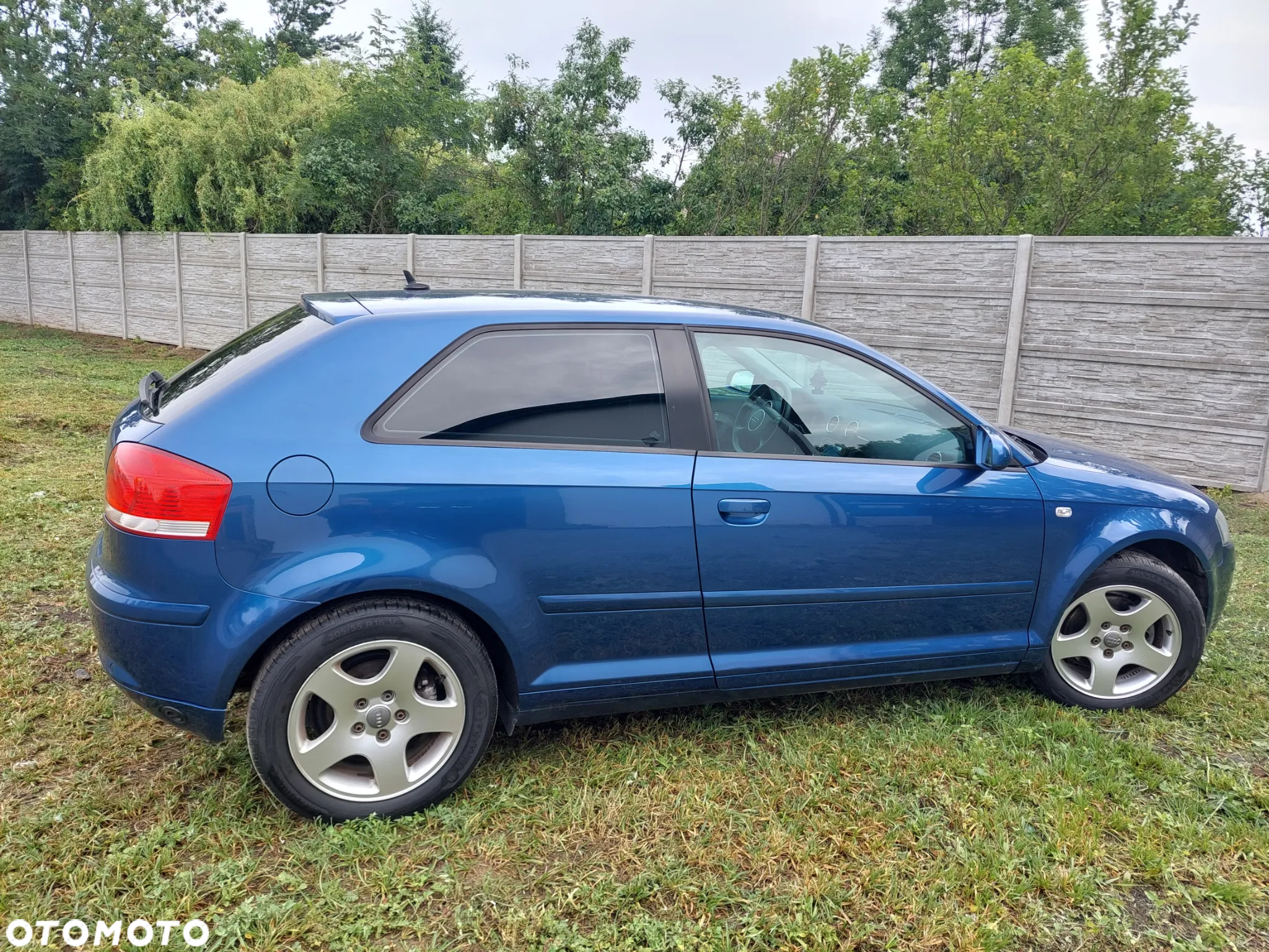 Audi A3 1.6 Ambiente - 8