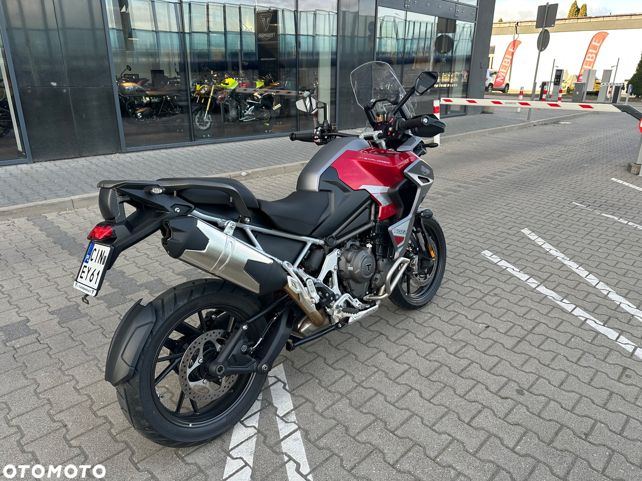 Triumph Tiger - 4