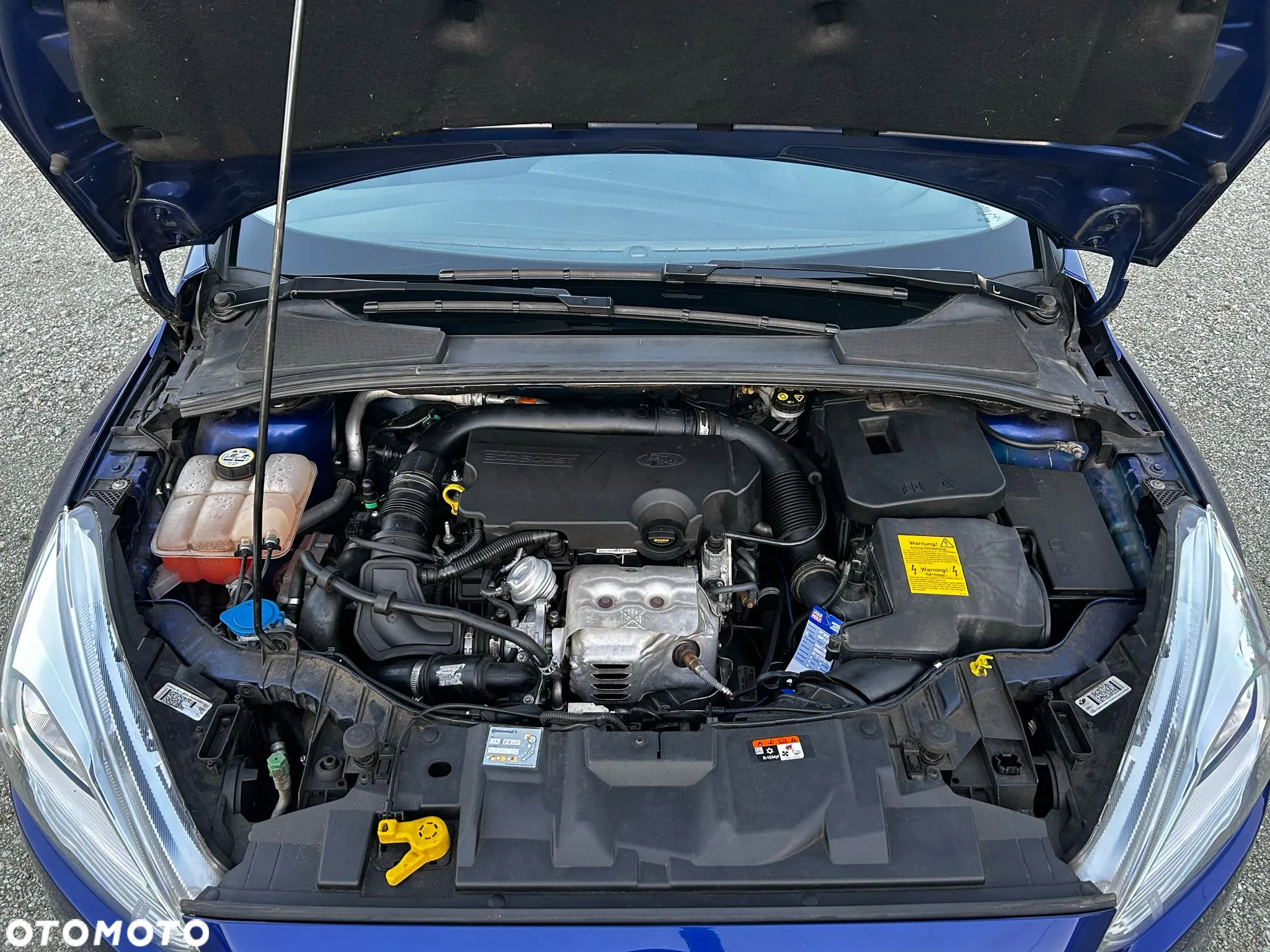 Ford Focus - 26