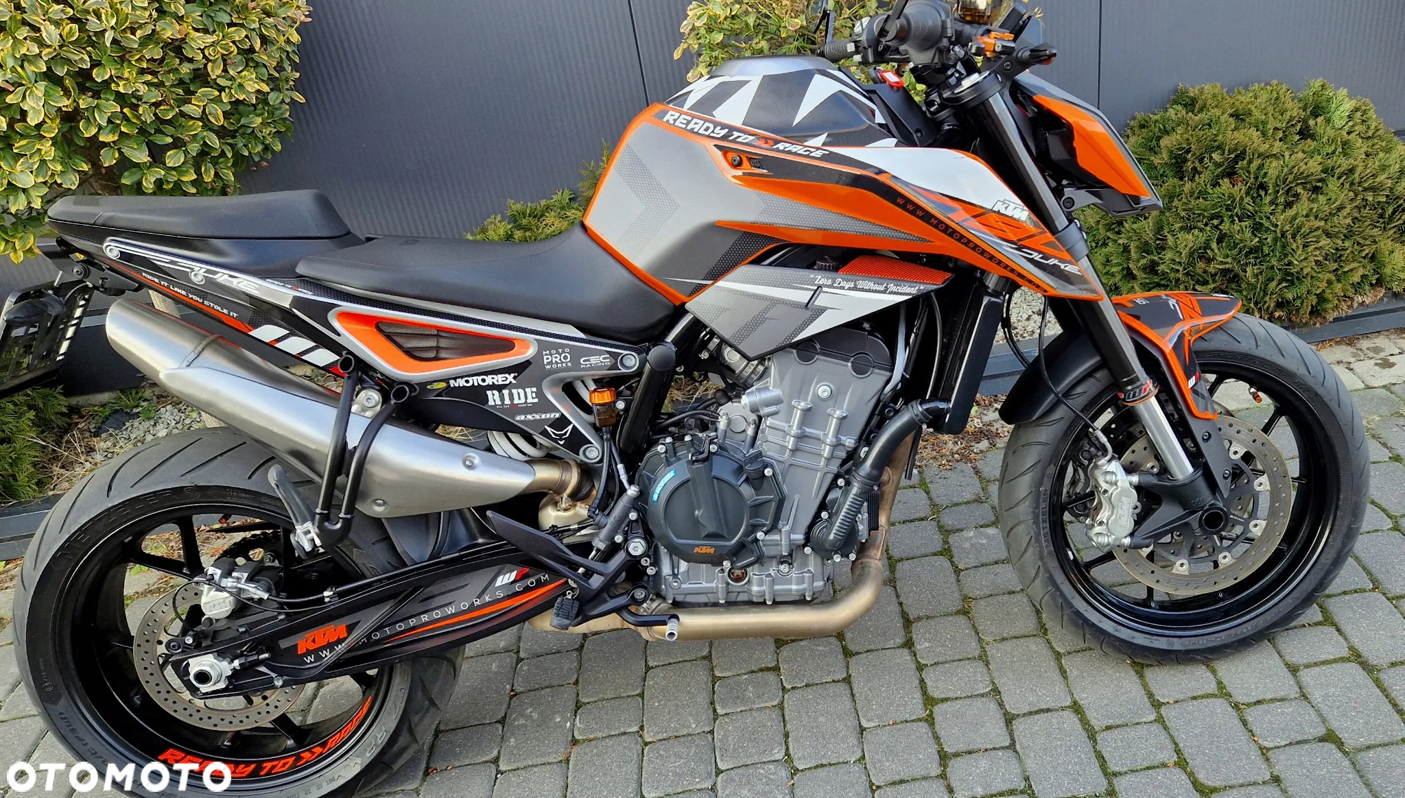 KTM Duke - 19