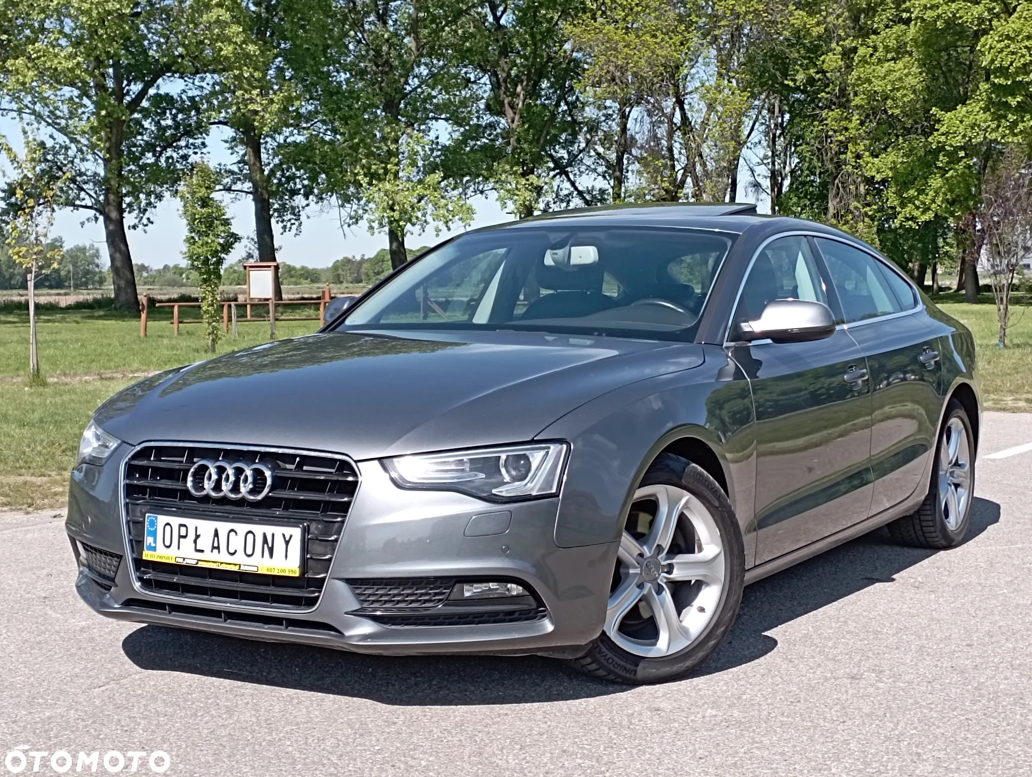 Audi A5 2.0 TDI ultra Sportback DPF - 18