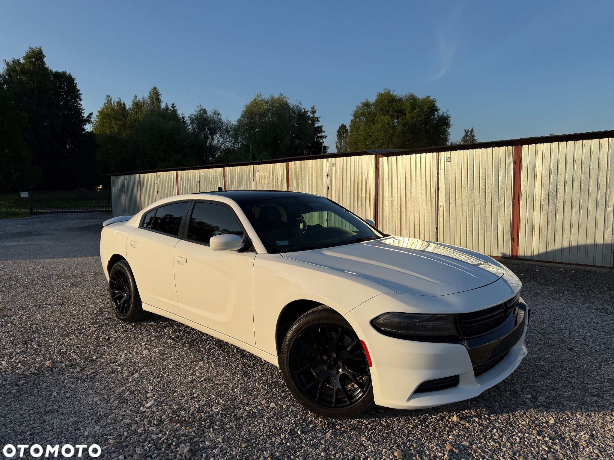 Dodge Charger - 1