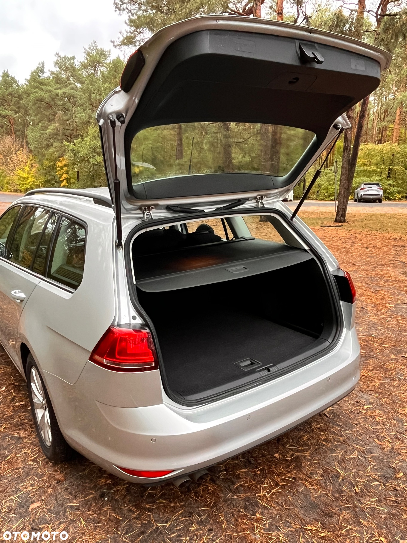 Volkswagen Golf - 5