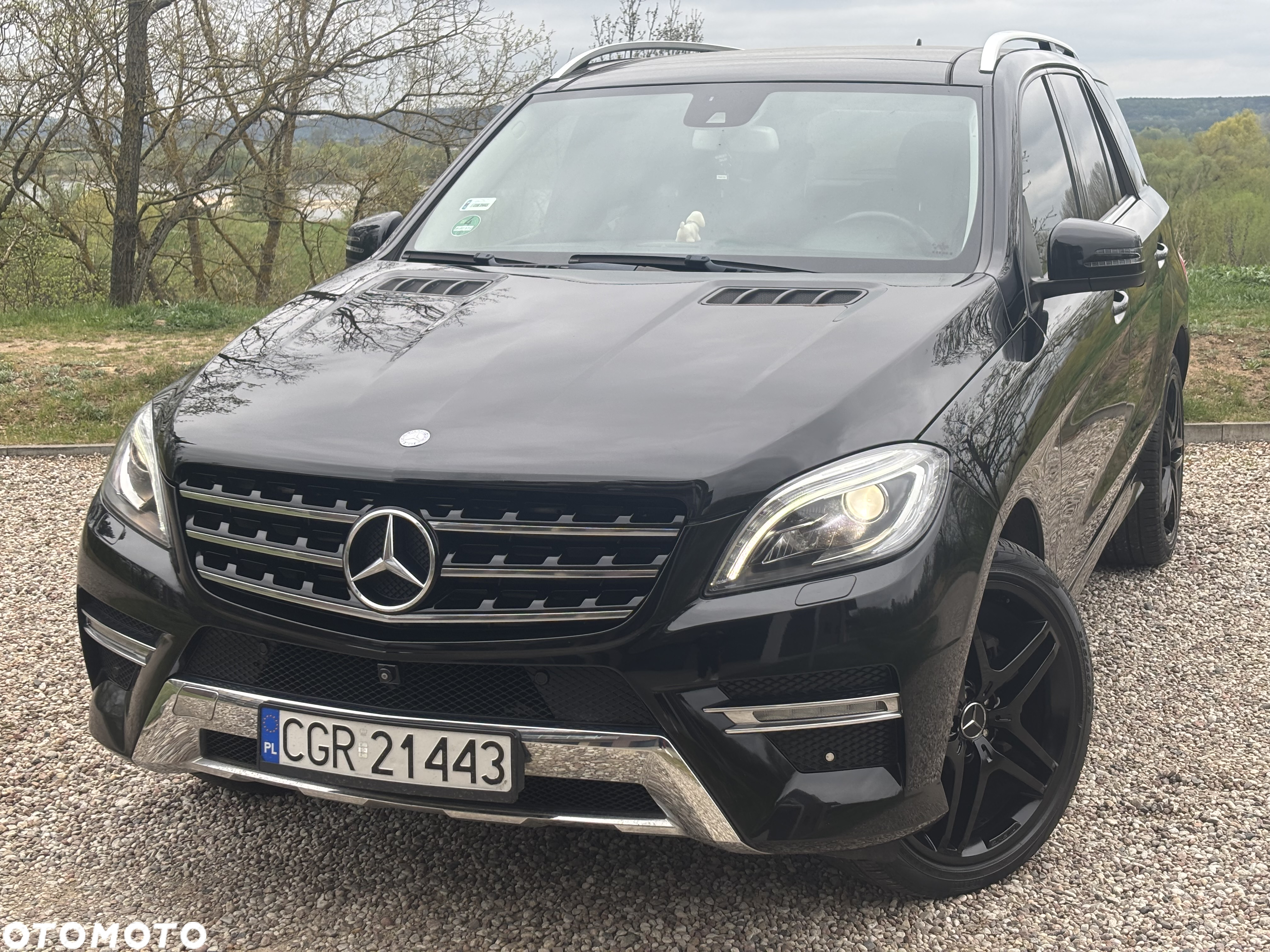 Mercedes-Benz ML 350 BlueTEC 4MATIC 7G-TRONIC - 19