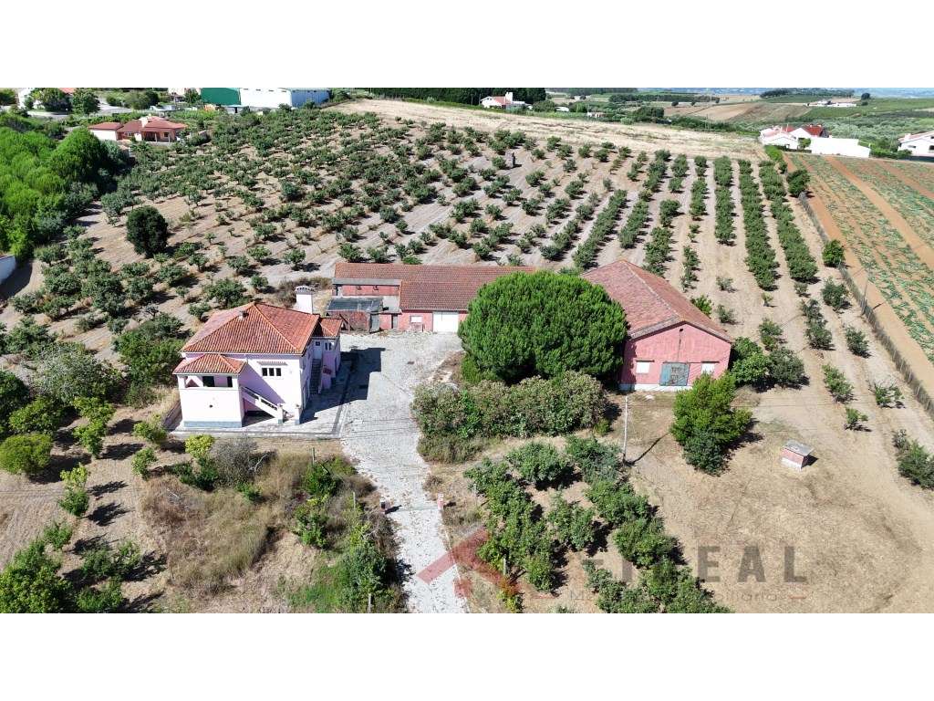 Quinta com 40.000 m² - Privacidade, Natureza e Potencial no Oeste -... - Grande imagem: 2/60