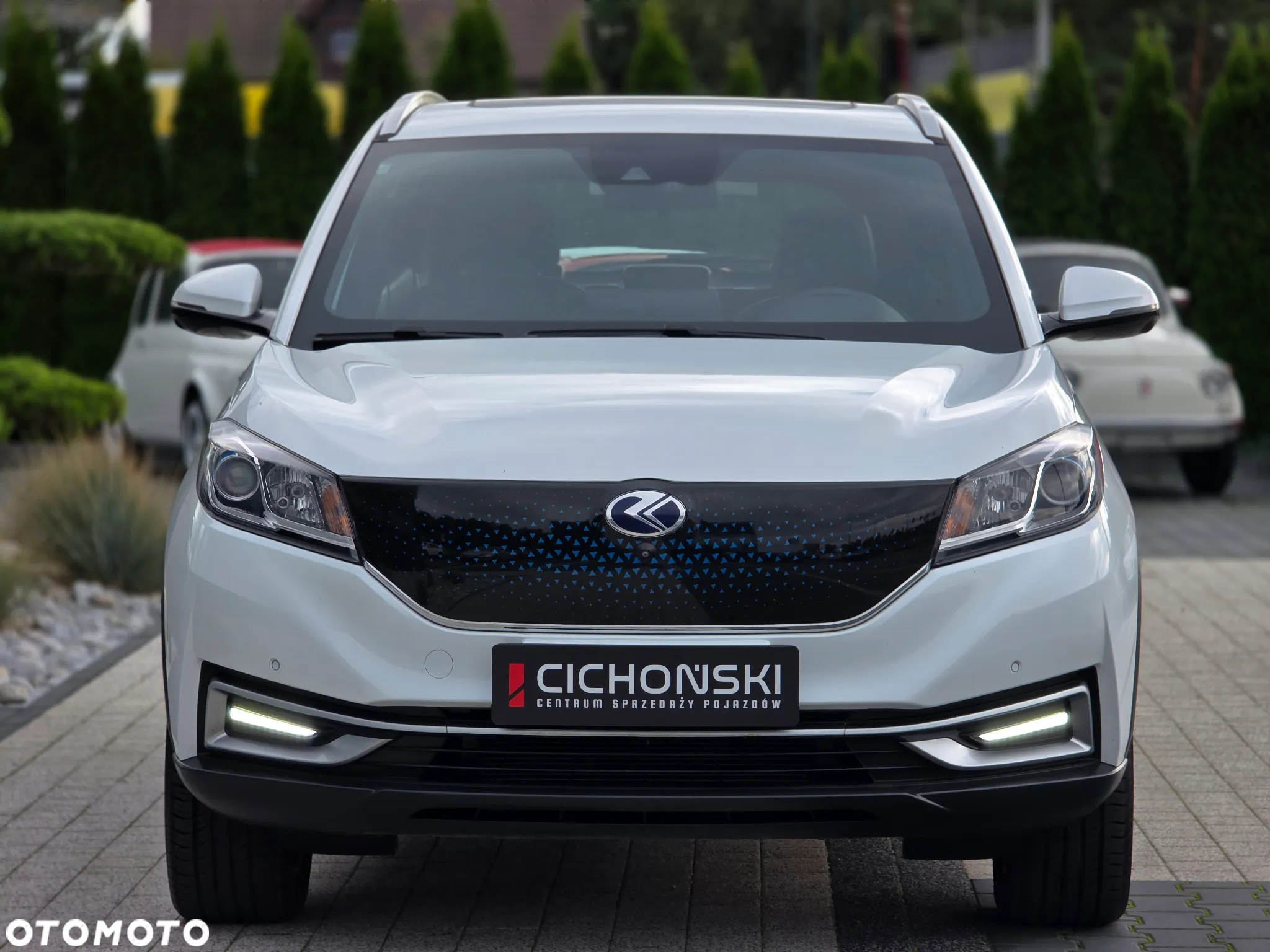Seres 3 53kWh Luxury - 10