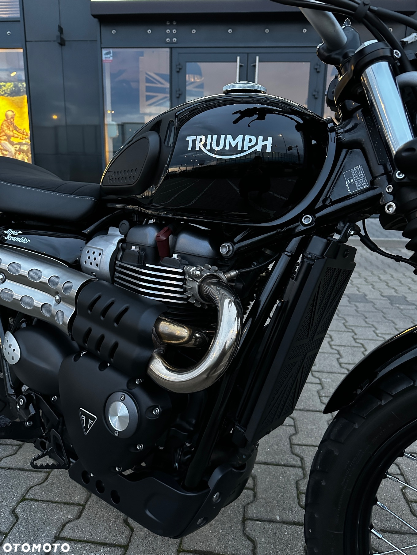 Triumph Scrambler - 6