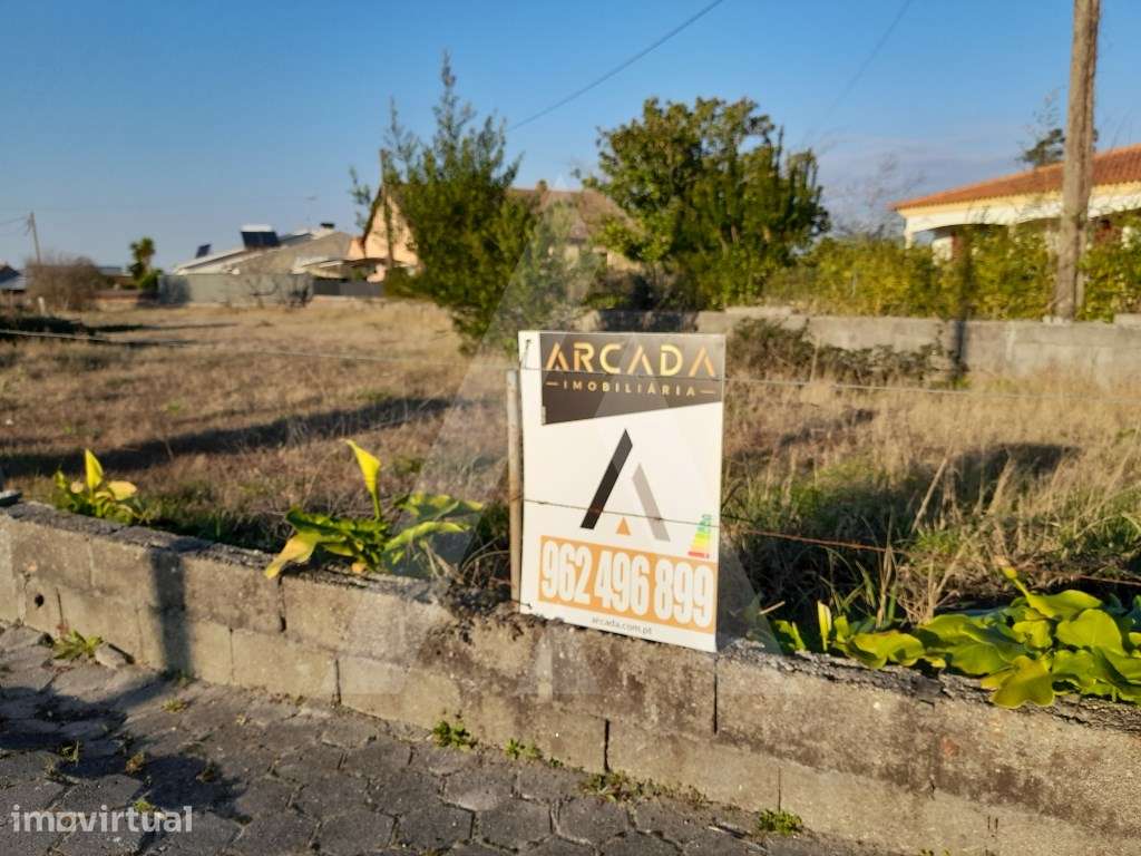 Terreno com viabilidade de construção, sito em Calvão, Vagos - Grande imagem: 5/9