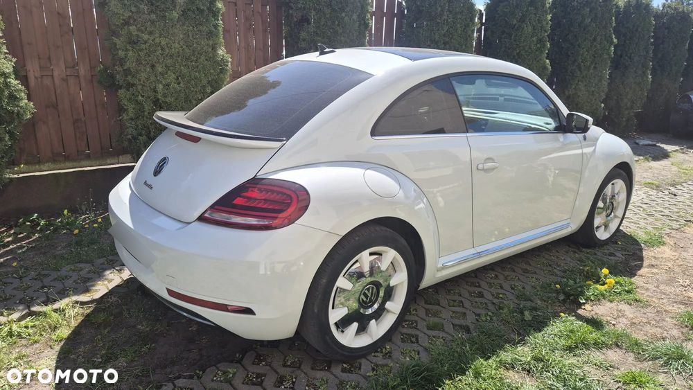 Volkswagen Beetle - 4
