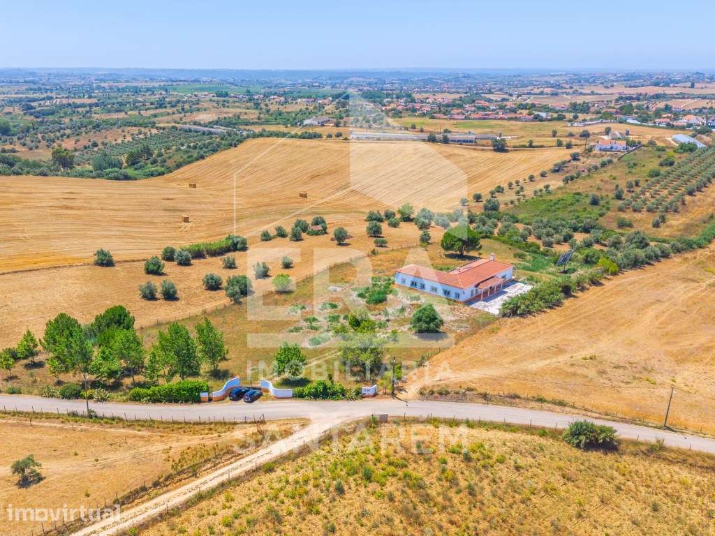 Moradia T4 inserida em propriedade com 9.680 m² - Grande imagem: 2/44