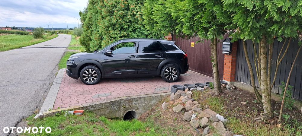 Citroën C4 Cactus - 19