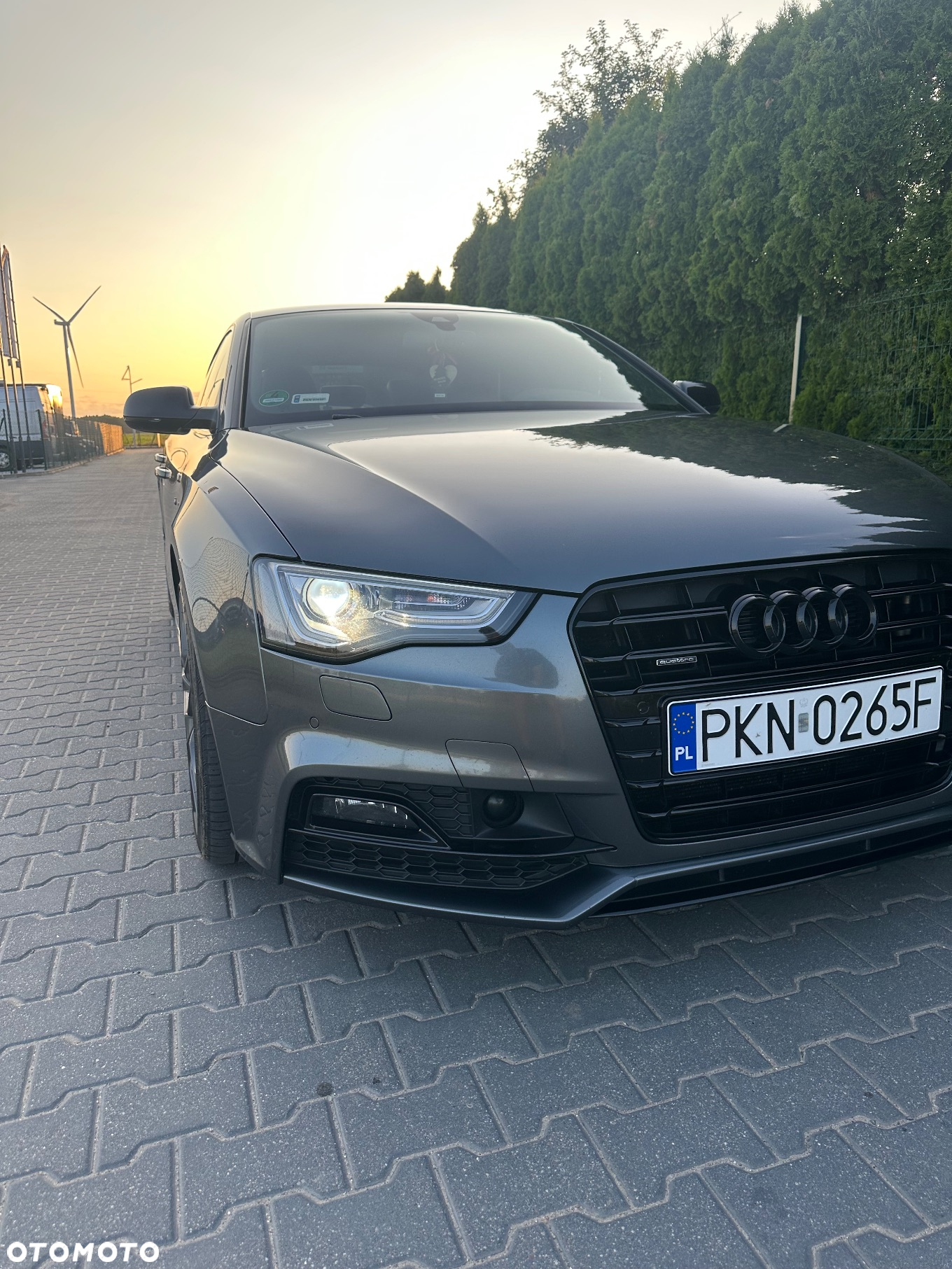 Audi A5 2.0 TDI Sportback (clean diesel) quat DPF S tro - 5